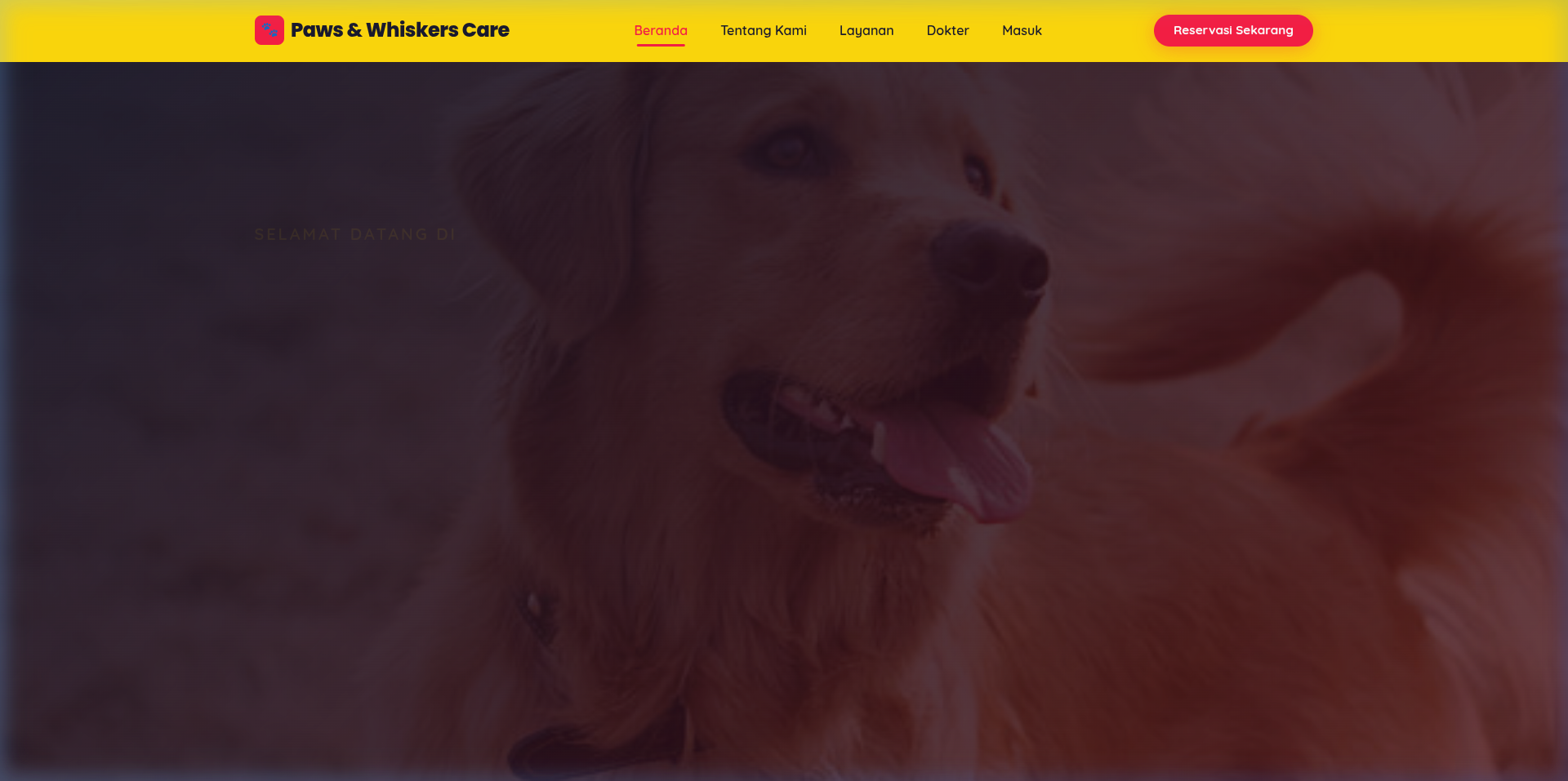 Paws & Whiskers Care